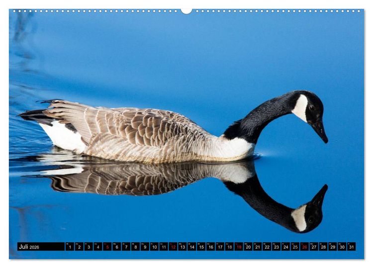 Produktbild: Gr&uuml;&szlig;e von Pellworm (hochwertiger Premium Wandkalender 2026 DIN A2 quer), Kunstdruck in Hochglanz