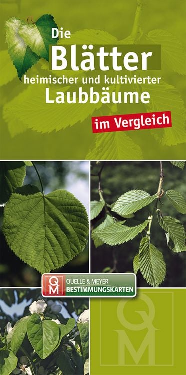 Produktbild: Die Bl&auml;tter heimischer und kultivierter Laubb&auml;ume im Verglei