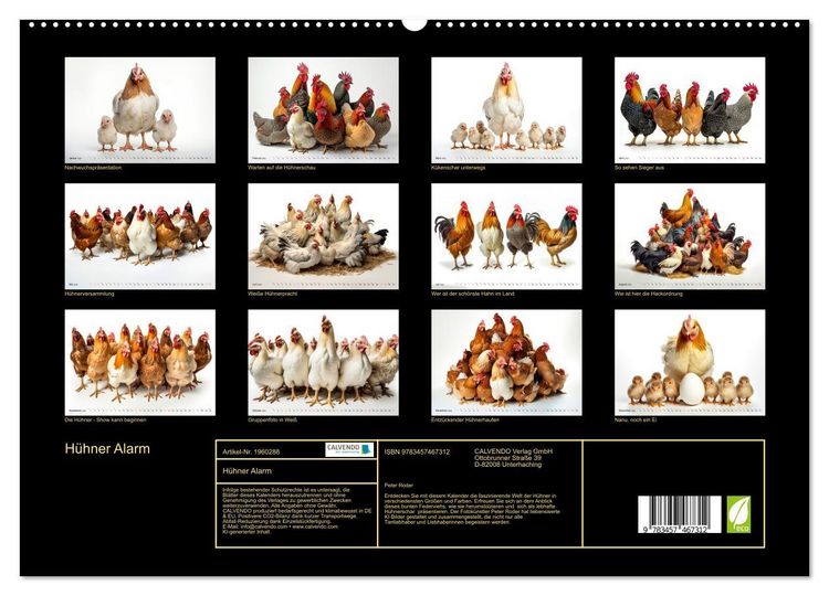 Produktbild: H&uuml;hner Alarm (hochwertiger Premium Wandkalender 2026 DIN A2 quer), Kunstdruck in Hochglanz