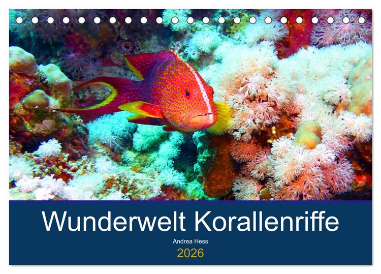 Produktbild: Wunderwelt Korallenriffe (Tischkalender 2026 DIN A5 quer), CALVENDO Monatskalender