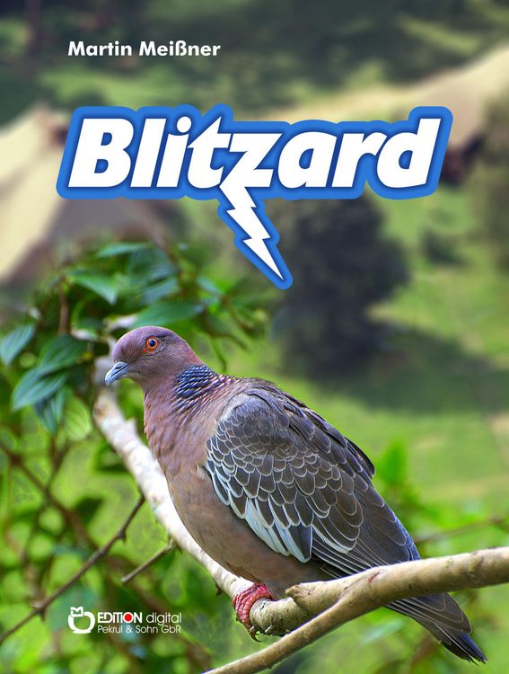 Produktbild: Blitzard