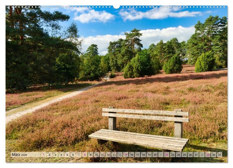 Produktbild: L&uuml;neburger S&uuml;dheide (hochwertiger Premium Wandkalender 2026 DIN A2 quer), Kunstdruck in Hochglanz