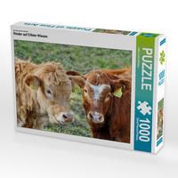 Produktbild: CALVENDO Puzzle Ein Motiv aus dem Kalender Rinder auf Eifeler Wiesen | 1000 Teile Lege-Gr&ouml;&szlig;e 64x48cm Foto-Puzzle f&uuml;r gl&uuml;ckliche Stunden