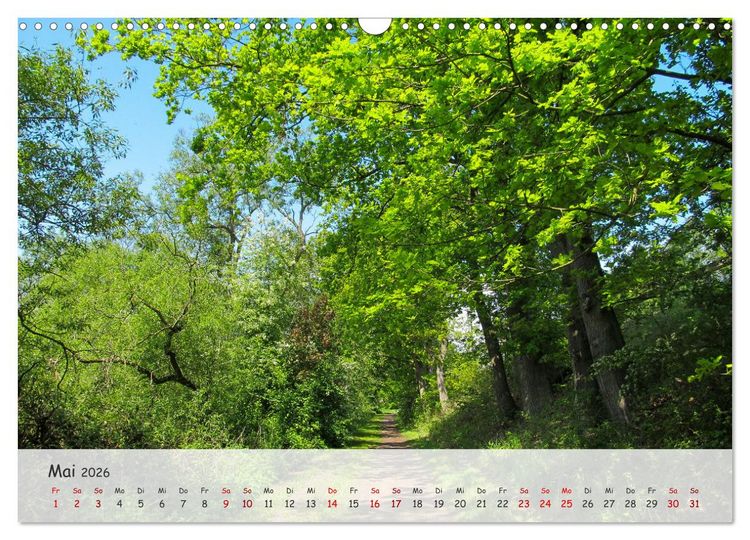 Produktbild: Vier Jahreszeiten - Eine Welt (Wandkalender 2026 DIN A3 quer), CALVENDO Monatskalender