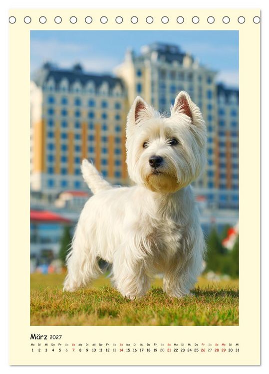 Produktbild: S&uuml;&szlig;er Wuschelkopf. West Highland White Terrier Momente (Tischkalender 2027 DIN A5 hoch), CALVENDO Monatskalender