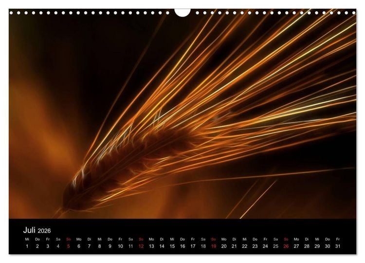 Produktbild: Floral Abstrakt 2026 (Wandkalender 2026 DIN A3 quer), CALVENDO Monatskalender