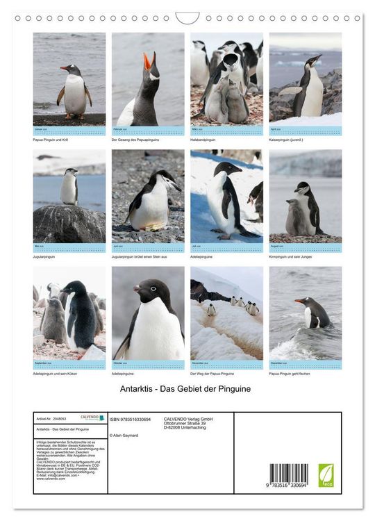 Produktbild: Antarktis - Das Gebiet der Pinguine (Wandkalender 2026 DIN A3 hoch), CALVENDO Monatskalender