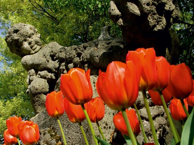 Produktbild: CALVENDO Puzzle Poensgen Park, Ratingen | 1000 Teile Lege-Gr&ouml;&szlig;e 64x48cm Foto-Puzzle f&uuml;r gl&uuml;ckliche Stunden