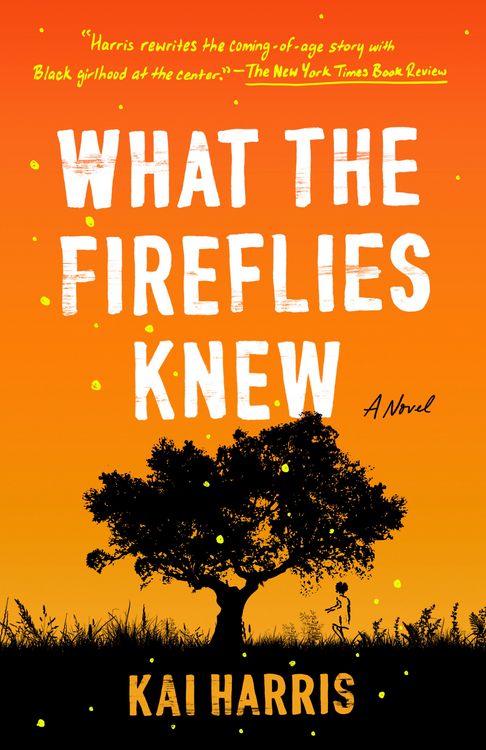 Produktbild: What the Fireflies Knew