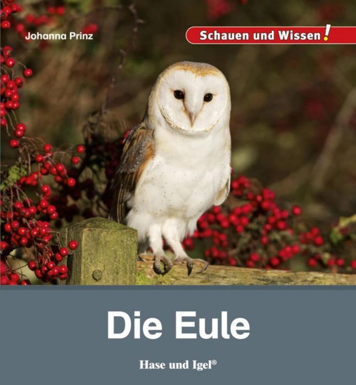 Produktbild: Die Eule
