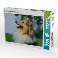 Produktbild: CALVENDO Puzzle Sheltie - Ein h&uuml;bsches M&auml;dchen 1000 Teile Lege-Gr&ouml;&szlig;e 64 x 48 cm Foto-Puzzle Bild von Sigrid Starick