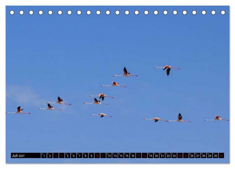 Produktbild: Faszination Sardinien (Tischkalender 2027 DIN A5 quer), CALVENDO Monatskalender
