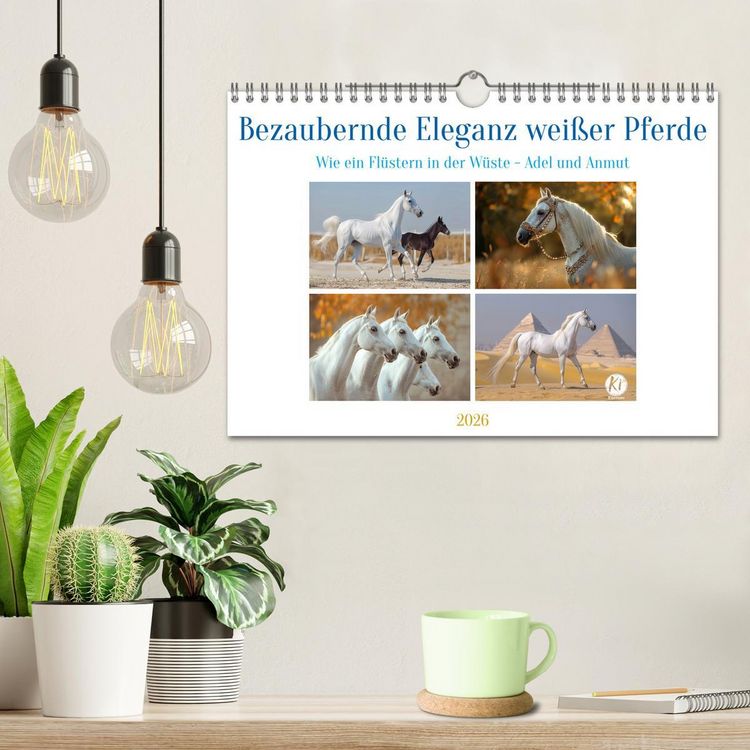 Produktbild: Bezaubernde Eleganz wei&szlig;er Pferde (Wandkalender 2026 DIN A4 quer), CALVENDO Monatskalender