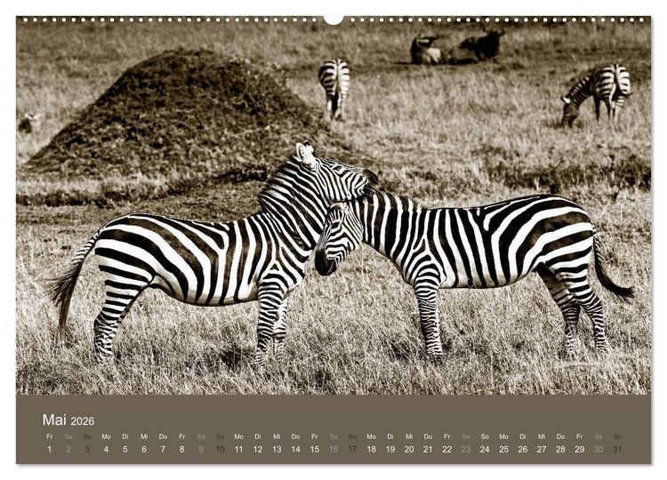 Produktbild: Wildes Afrika (hochwertiger Premium Wandkalender 2026 DIN A2 quer), Kunstdruck in Hochglanz