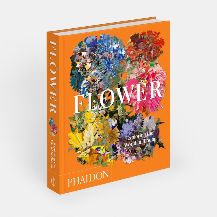 Produktbild: Flower: Exploring the World in Bloom