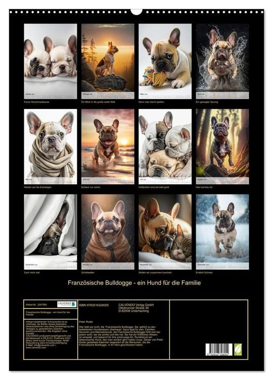 Produktbild: Franz&ouml;sische Bulldogge - ein Hund f&uuml;r die Familie (Wandkalender 2026 DIN A2 hoch), CALVENDO Monatskalender