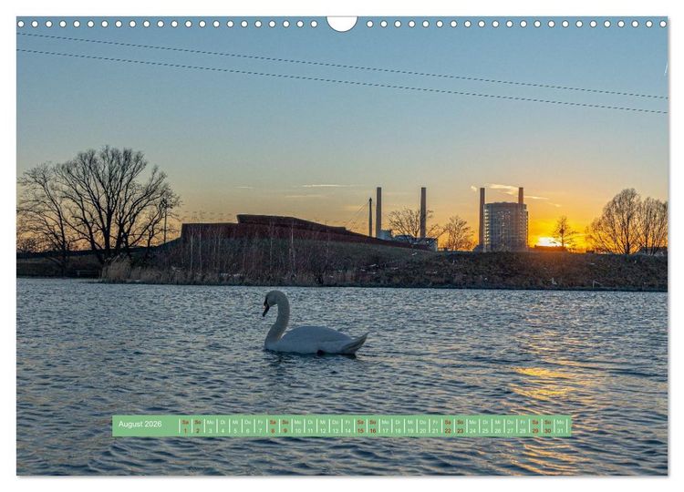 Produktbild: Wolfsburg - einfach tierisch (Wandkalender 2026 DIN A3 quer), CALVENDO Monatskalender