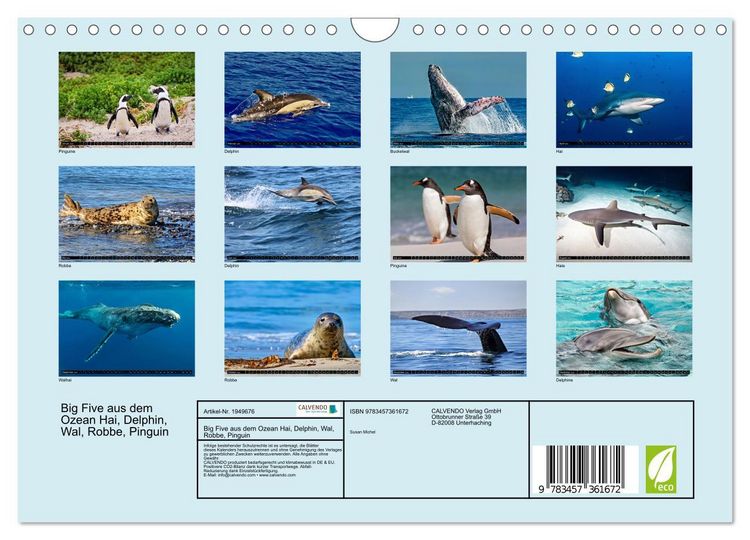Produktbild: Big Five aus dem Ozean Hai, Delphin, Wal, Robbe, Pinguin (Wandkalender 2026 DIN A4 quer), CALVENDO Monatskalender