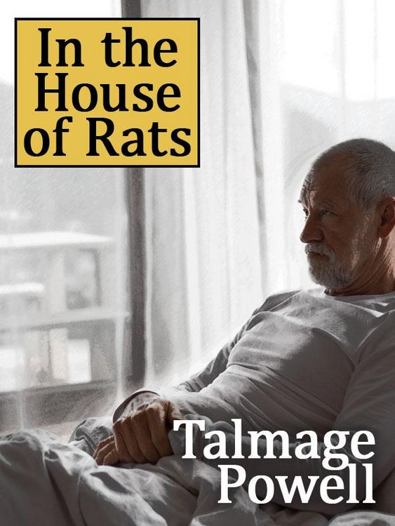 Produktbild: In the House of Rats