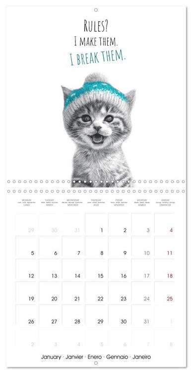 Produktbild: Purrfectly Cool Cats (Wall Calendar 2026 12 &times; 12 Inch) CALVENDO 12 Month Wall Calendar