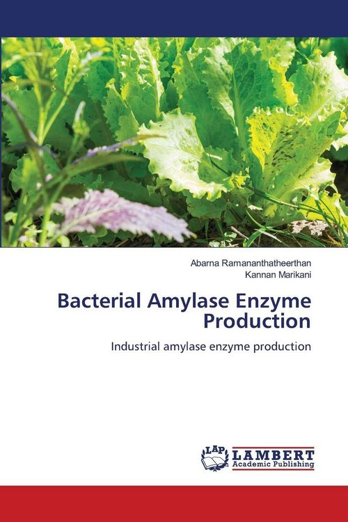 Produktbild: Bacterial Amylase Enzyme Production