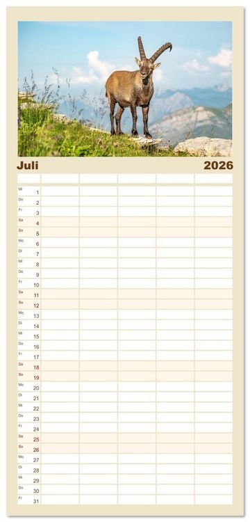 Produktbild: Familienplaner 2026 - Steinb&ouml;cke - Eindr&uuml;ckliche K&ouml;nige der Alpen mit 5 Spalten (Wandkalender, 21 x 45 cm) CALVENDO