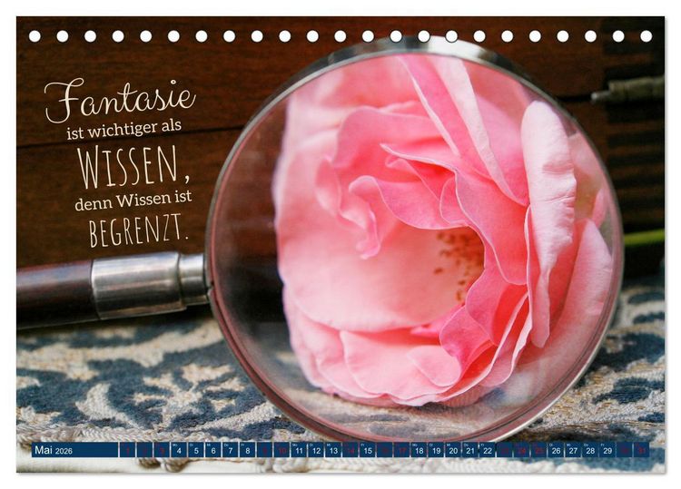 Produktbild: Jeder ist ein Genie! Zitate von Albert Einstein (Tischkalender 2026 DIN A5 quer), CALVENDO Monatskalender