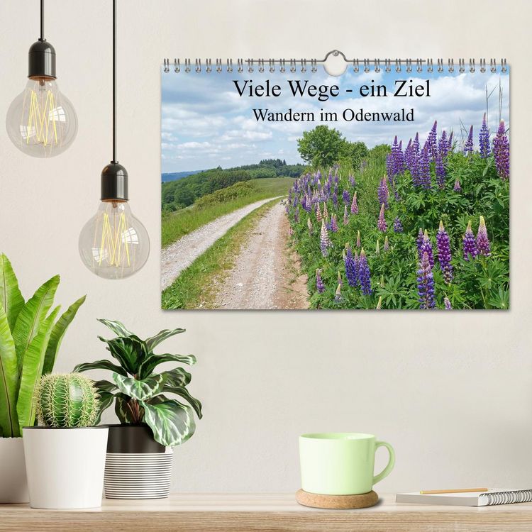 Produktbild: Viele Wege - ein Ziel Wandern im Odenwald (Wandkalender 2026 DIN A4 quer), CALVENDO Monatskalender