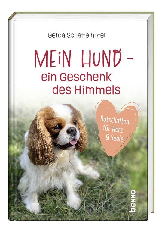 Produktbild: Mein Hund &ndash; ein Geschenk des Himmels