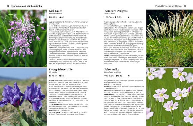 Produktbild: Welche Pflanze passt wohin im Naturgarten?