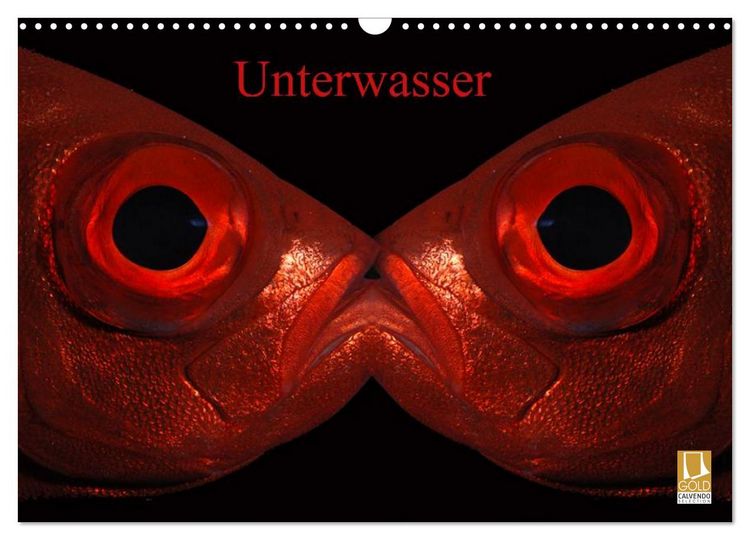 Produktbild: Unterwasser (Wandkalender 2026 DIN A3 quer), CALVENDO Monatskalender