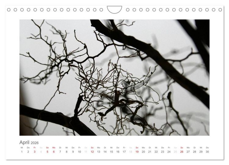 Produktbild: einfach schwarz-wei&szlig; (Wandkalender 2026 DIN A4 quer), CALVENDO Monatskalender