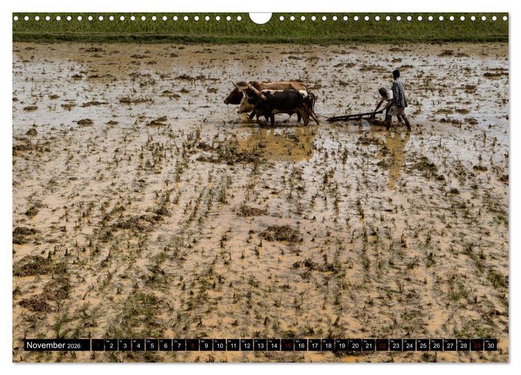 Produktbild: Madagaskar - Impressionen von Rolf Dietz (Wandkalender 2026 DIN A3 quer), CALVENDO Monatskalender