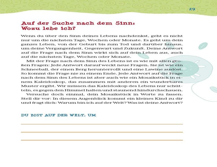 Produktbild: Woher, wohin, was ist der Sinn?