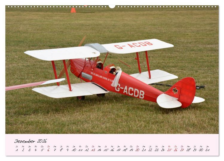 Produktbild: Sch&auml;tzchen der L&uuml;fte (Wandkalender 2026 DIN A2 quer), CALVENDO Monatskalender