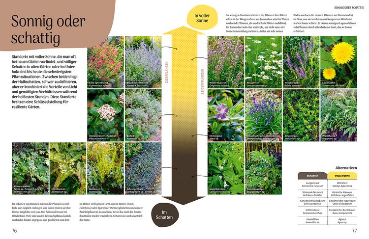 Produktbild: Der resiliente Garten
