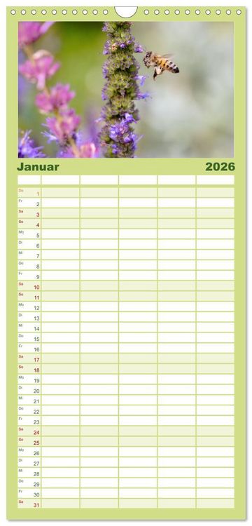Produktbild: Familienplaner 2026 - Die Wunderwelt der Biene mit 5 Spalten (Wandkalender, 21 x 45 cm) CALVENDO