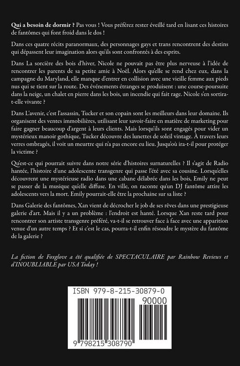 Produktbild: Histoires de fant&ocirc;mes gays volume 1