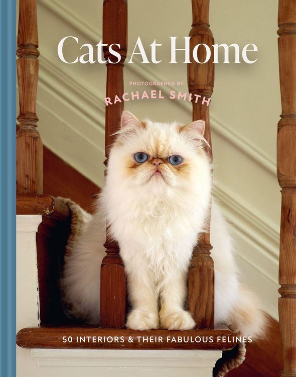 Produktbild: Cats at Home