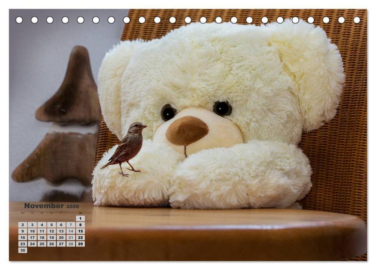 Produktbild: Teddys, wollen wir Kalender anschauen? (Tischkalender 2026 DIN A5 quer), CALVENDO Monatskalender