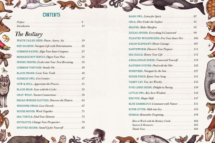 Produktbild: The Illustrated Bestiary