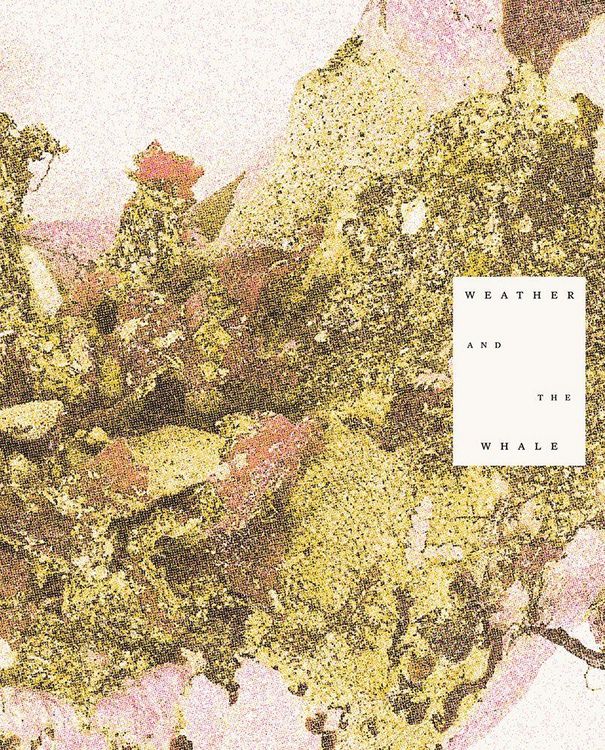Produktbild: Weather and the Whale