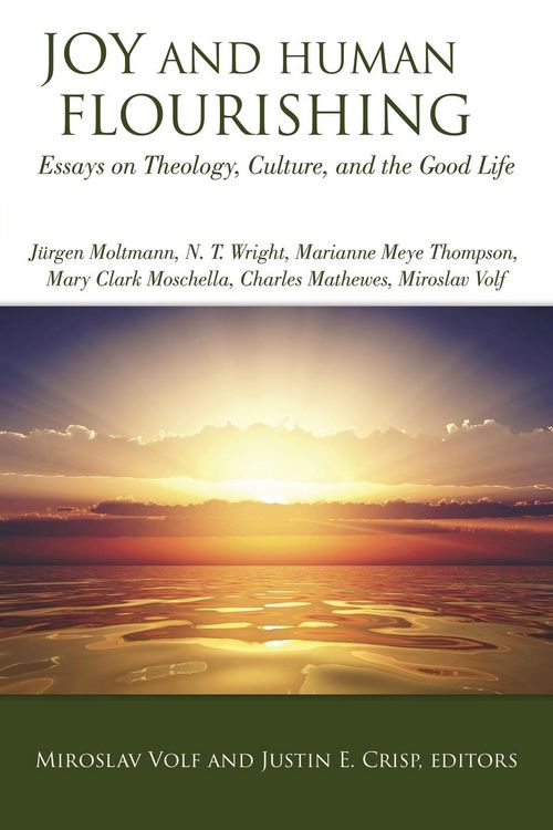 Produktbild: Joy and Human Flourishing