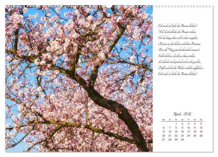 Produktbild: Max Dauthendey - Mit der Natur durchs Jahr (Wandkalender 2026 DIN A2 quer), CALVENDO Monatskalender