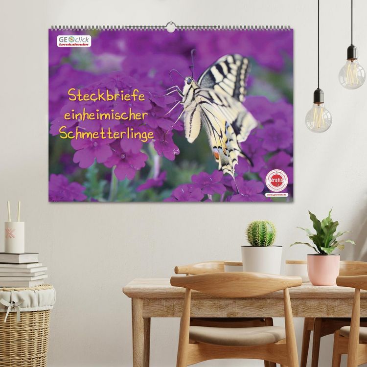 Produktbild: GEOclick Lernkalender: Steckbriefe einheimischer Schmetterlinge (Wandkalender 2026 DIN A2 quer), CALVENDO Monatskalender