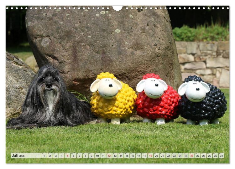 Produktbild: Tibet Terrier Theo (Wandkalender 2026 DIN A3 quer), CALVENDO Monatskalender