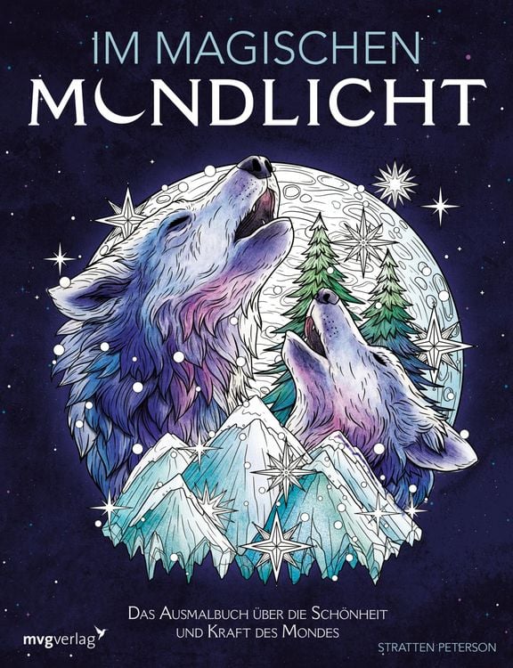 Produktbild: Im magischen Mondlicht