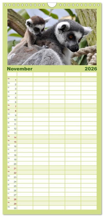 Produktbild: Familienplaner 2026 - Kleine Schelme - Tierbabys mit 5 Spalten (Wandkalender, 21 x 45 cm) CALVENDO