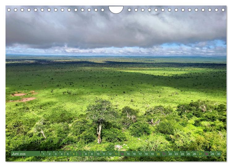 Produktbild: Im Einklang mit der Natur - Soroi Lions Bluff Lodge Kenia (Wandkalender 2026 DIN A4 quer), CALVENDO Monatskalender