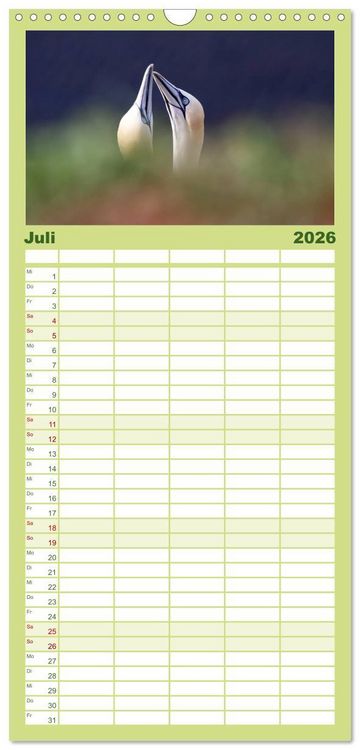 Produktbild: Familienplaner 2026 - Helgoland mit 5 Spalten (Wandkalender, 21 x 45 cm) CALVENDO